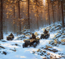 Крылатая мотопехота 98 гв вдд