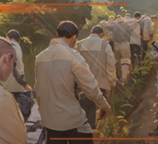 События недели: 12.06.2023-18.06.2023