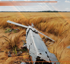 События недели: 03.07.2023-09.07.2023