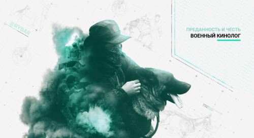 Военные кинологи: преданность и честь