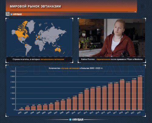 Как на Западе развивают рынок эвтаназии