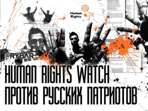 Мигрантофилы теперь на одной стороне с западными НКО: Human Rights Watch критикует «жесткую» миграционную политику в России