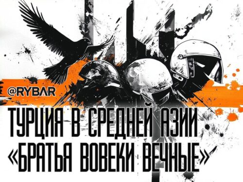 Чужая рубашка ближе к телу: Будущее тюркоязычных стран — оплакивать и превозносить турецкого солдата