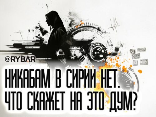 Боевики запретили никабы. Сюрреализм по-сирийски: новые власти борются с терроризмом